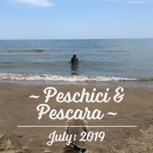 Peschici_Pescara button